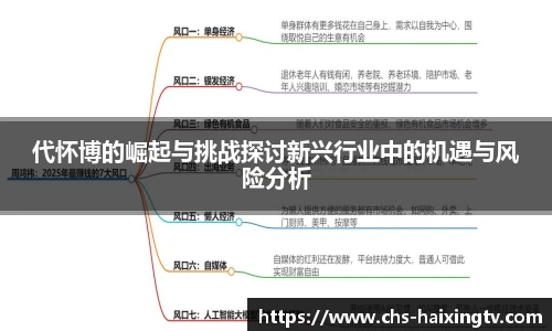 代怀博的崛起与挑战探讨新兴行业中的机遇与风险分析