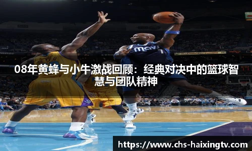 08年黄蜂与小牛激战回顾：经典对决中的篮球智慧与团队精神